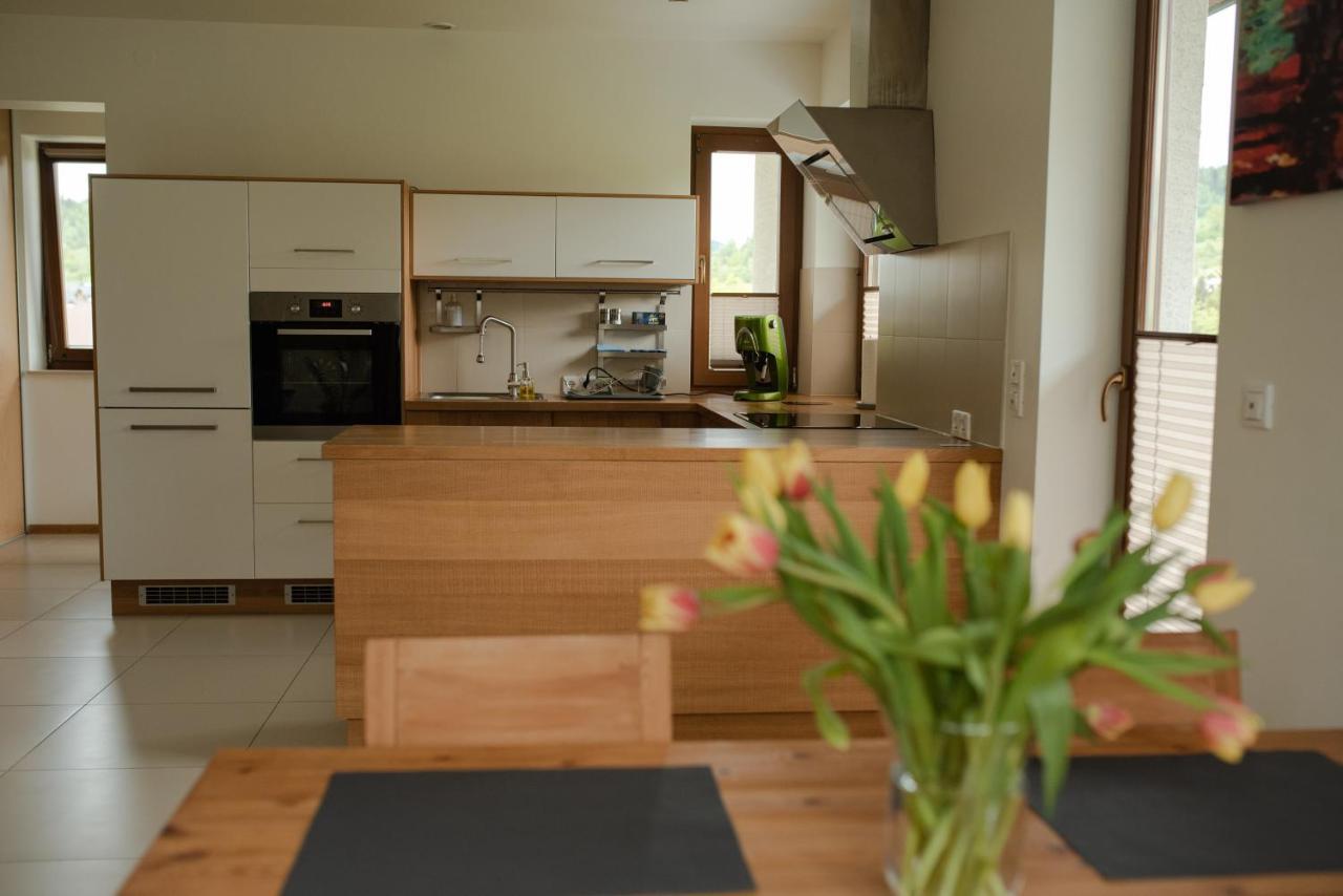 Apartament Sloneczna Rapsodia - Blisko Parku Zdrojowego - Piekny Widok - Ogrod - Taras Рабка Экстерьер фото